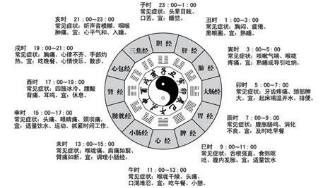 十二時辰養生對照表|十二时辰养生对照表，附经络图......